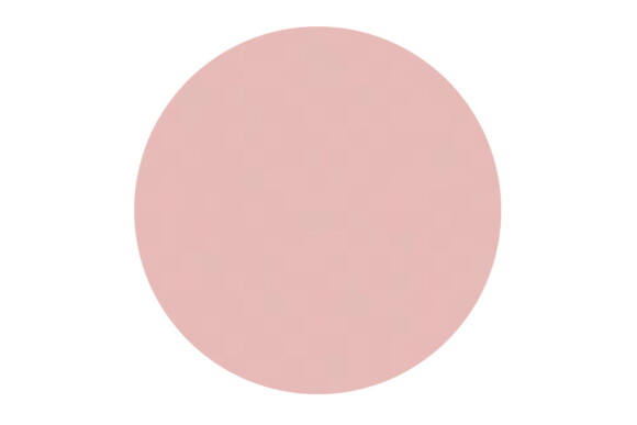 Backdrop Rose Uni - 02