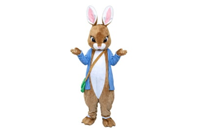 Lapin - Déguisement Mascotte 01