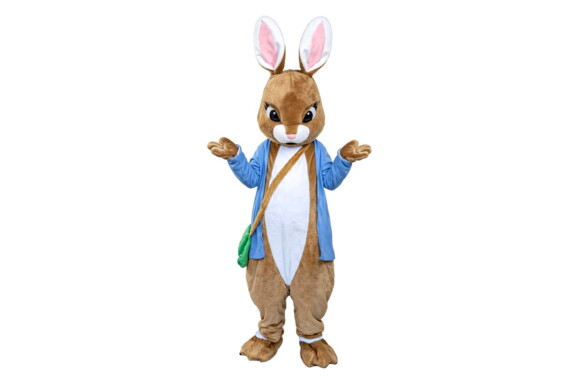 Lapin - Déguisement Mascotte 01