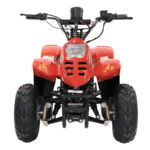 Quad Électrique Enfant Location - 01