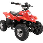 Quad Électrique Enfant Location - 02