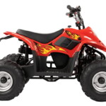 Quad Électrique Enfant Location - 03